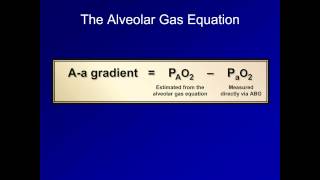 The Aa Gradient ABG Interpretation  Lesson 16 [upl. by Mullane413]