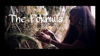 SOLE  The Formula Official Music Video [upl. by Manya]