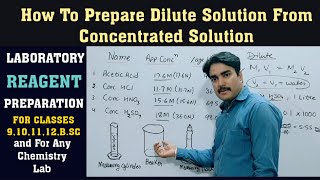 how to prepare dilute solution from concentrated acid Laboratory reagent class 9101112BSc [upl. by Brace]