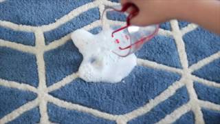 DIY Carpet Stain Remover [upl. by Susanetta789]