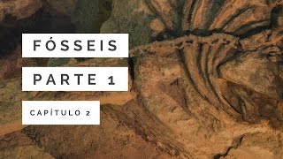 Fósseis Parte 1  A Grande Catástrofe 2 [upl. by Anairuy]