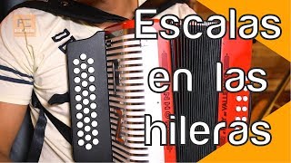 ¿Para que sirven las Escalas  Tutorial de Acordeón  FZ academia [upl. by Enhpad]