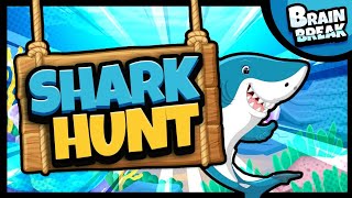 Going on a Shark Hunt  Brain Break  Bear Hunt  Brain Breaks for Kids  Danny Go Noodle [upl. by Atikram717]