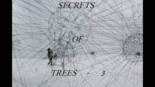 SECRETS OF TREES 3  2024 [upl. by Llekcm971]