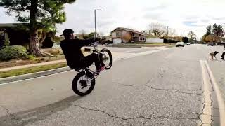 CITY GROUNDS CREW DART WHEELIE TIME [upl. by Justino]