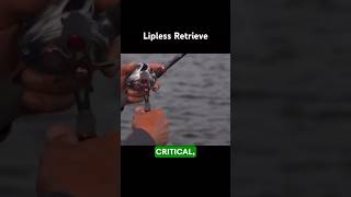 How to Retrieve a Lipless Crankbait by ​⁠EdwinEversfishing [upl. by Sellma98]