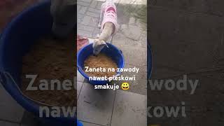 Zaneta na zawody fishing hobby feeder arturkrasnicki [upl. by Hayward207]