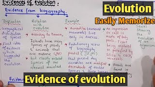 Evidence of evolution  Class 12 Biology [upl. by Maxine]