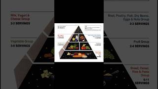 Food Pyramid vs Confederacy history civilwar 90s shorts [upl. by Nore]