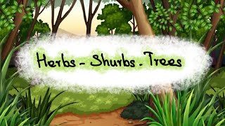 Types of Plants Part 1  Herbs Shrubs Trees  Learn to Remember [upl. by Atilek]