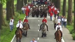 Naessens 1  A Team of 56 Draft Horses [upl. by Aikim]