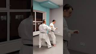 free sparring movement Uechi ryu kumite similar to the karate technique  Uechi ryu Karate Hozonkai [upl. by Eanram]