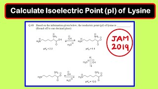 Calculate Isoelectric point of Lysine  Amino acid  JAM 2019 Chemistry [upl. by Odraner198]