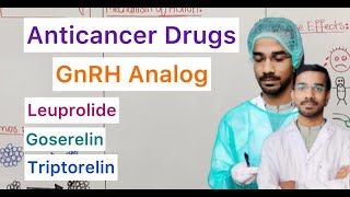 Anticancer Drugs  GnRH Analog  Leuprolide  Goserelin  Triptorelin [upl. by Neitsirhc]