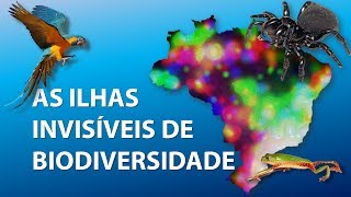 As Ilhas Invisíveis de biodiversidade [upl. by Ahsinauq]