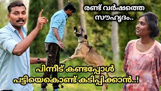 ഇവൾക്ക് ഇതായിരുന്നു ഉദ്ദേശം Dog challenge Leash Talks [upl. by Levitan]