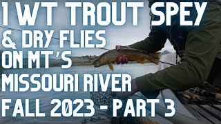 1wt Trout Spey amp Small Dries On Montanas Missouri River  Fall 23 Part 3 [upl. by Alair]