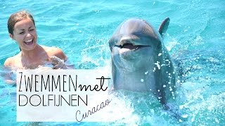 Curacao zwemmen met dolfijnen [upl. by Mariana]