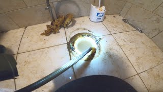 Sewer Drain Clog  Drain Pros Ep 29 [upl. by Dnalevets]