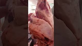 Striping a hindquarter in 3 minutes [upl. by Quintina29]