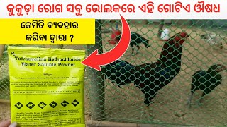 How to Use Tetracycline Powder in Poultry Farm [upl. by Llevel]