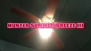 Hunter SB IIII Beacon Hill X2 Winco and Commander Ceiling Fans at The Stop Inn Tavern [upl. by Dannye]