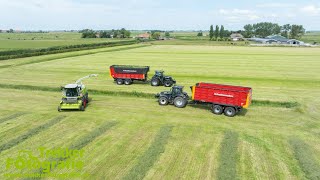 Gras hakselen  Lageveen Achlum  Grass Silage  Grashäckseln  Claas  Schuitemaker  JCB [upl. by Anelliw]