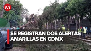 Saldo blanco tras caídas de árboles y encharcamientos por fuertes lluvias en CdMx [upl. by Nireil686]