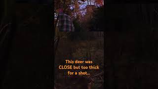 A deer cut behind the trail very closebut no shotbowhunting [upl. by Bullough]