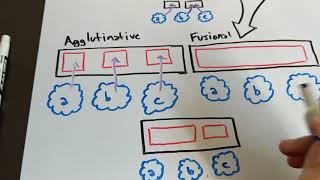 Isolating Synthetic Agglutinative and Fusional [upl. by Dalt]