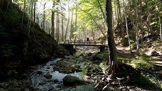 The Best Trails To Hike In Cape Breton Highlands NP Nova Scotia [upl. by Azila294]