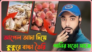 ফলের ছবি দিয়ে মজাদার ভিডিও তৈরি করুন  creative videography idea  Viral Editing Video Ai Diye [upl. by Deyes546]