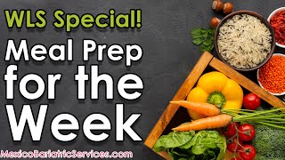 Bariatric Sleeve Meal Prep Ideas  Easy Tips to Prepare Meal for the Week [upl. by Otiv]