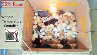 Best and Easy IDEA TO Hatch chicken eggs at home Without Any Temperature controller  Egg Incubator [upl. by Emelyne]