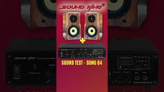 4 Sound King F35K Speaker  sk25000 21 Amplifier Sound Test [upl. by Haiacim]