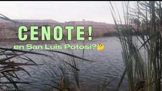 CENOTE POTOSINO 🤔🤨sanluispotosi outdoors naturaleza [upl. by Egroej]