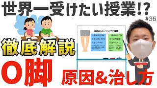 【世界一受けたい授業！？】O脚の原因＆治し方をスライド使って徹底解説します！ [upl. by Palumbo]