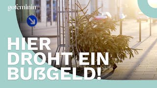 Weihnachtsbaum entsorgen Hier droht ein ordentliches Bußgeld [upl. by Gladis]