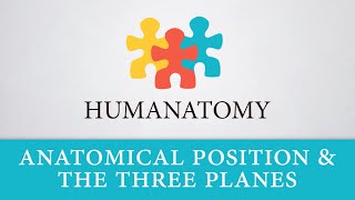 Anatomical Position and The Three Planes [upl. by Aitel623]