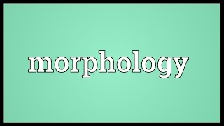 Morphology Meaning [upl. by Amii435]