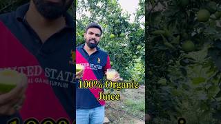 फार्महाउस से आज जूस पिया 👌fresh organic juice 🥤 [upl. by Campos242]