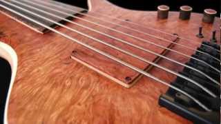 Adamovic Halo 6String Fretless [upl. by Ollie]