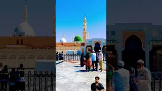 Chorna tera taiba gawara nahi slow version  Islamic status  Viral  shorts ytshorts [upl. by Lienhard110]