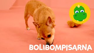 Bolibompa Mini Bolibompisarna – Avsnitt 8 [upl. by Ecirtnahc]