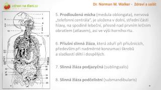 Zdraví na dlani ♥ Zdraví a salát 01 [upl. by Mohammad]