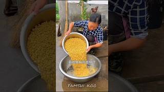 Yamshi koo making delicious Chinese food recipe shortvideo cooking yamshikoo [upl. by Ecnerat546]