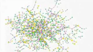 The Spread of Obesity in Social Networks [upl. by Bollinger389]