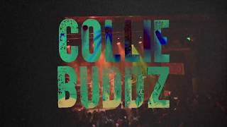 Collie Buddz  Love amp Reggae Tour 2018 with SOJA [upl. by Htrow734]