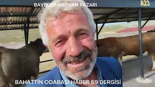 BAYBURT HAYVAN PAZARI [upl. by Onaicram]