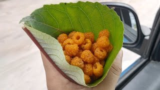 Himalayan goldenyellow Raspberry  Rubusellipticus Smith healthty tasty villagelife part1 [upl. by Yroffej160]